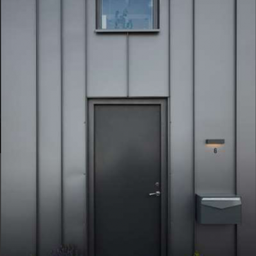 ds staalprofil - shingles_4