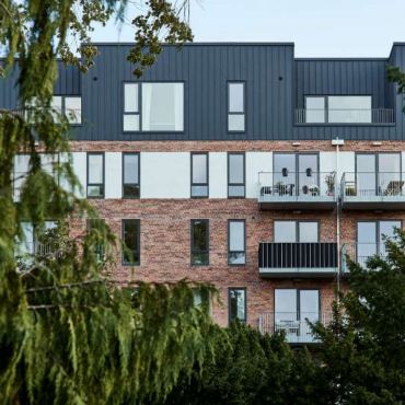 ds staalprofil - shingles_5
